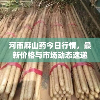 達(dá)官貴人 第3頁