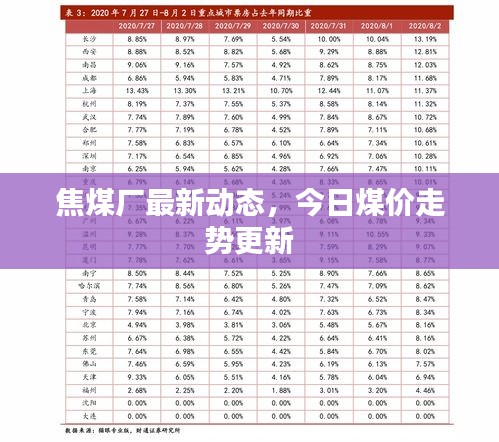 焦煤廠最新動態(tài)，今日煤價走勢更新