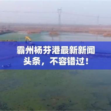 霸州楊芬港最新新聞?lì)^條，不容錯(cuò)過！