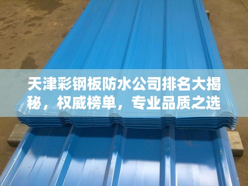 天津彩鋼板防水公司排名大揭秘，權(quán)威榜單，專業(yè)品質(zhì)之選！