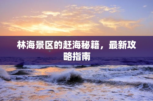 林海景區(qū)的趕海秘籍，最新攻略指南