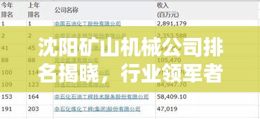沈陽礦山機械公司排名揭曉，行業(yè)領(lǐng)軍者榜單出爐！