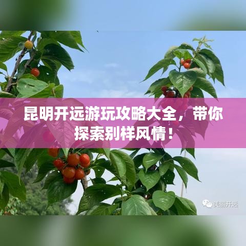 昆明開遠游玩攻略大全，帶你探索別樣風(fēng)情！