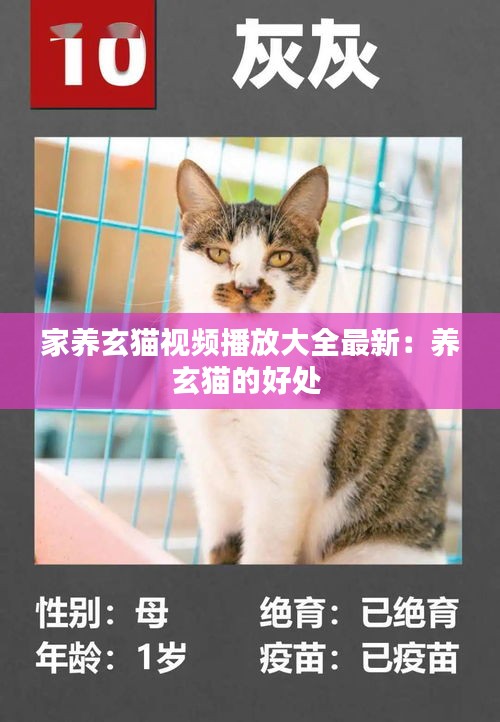 灰飛煙滅 第3頁