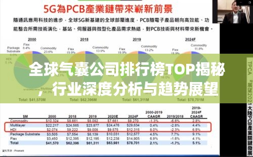 全球氣囊公司排行榜TOP揭秘，行業(yè)深度分析與趨勢展望