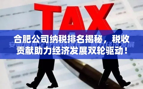 合肥公司納稅排名揭秘，稅收貢獻助力經(jīng)濟發(fā)展雙輪驅(qū)動！
