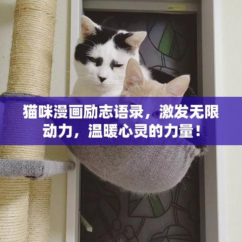 貓咪漫畫勵(lì)志語(yǔ)錄，激發(fā)無(wú)限動(dòng)力，溫暖心靈的力量！