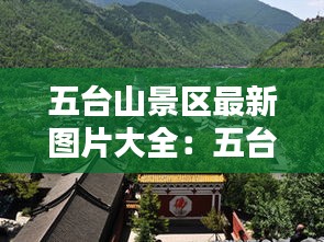 獨(dú)學(xué)寡聞 第3頁(yè)