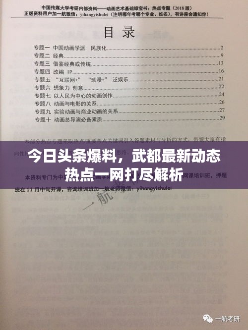 今日頭條爆料，武都最新動(dòng)態(tài)熱點(diǎn)一網(wǎng)打盡解析