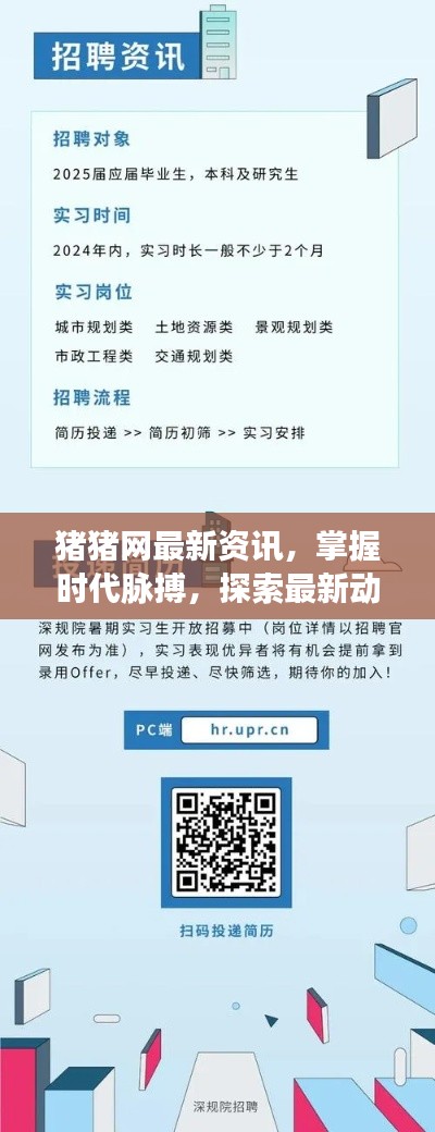 豬豬網(wǎng)最新資訊，掌握時代脈搏，探索最新動態(tài)