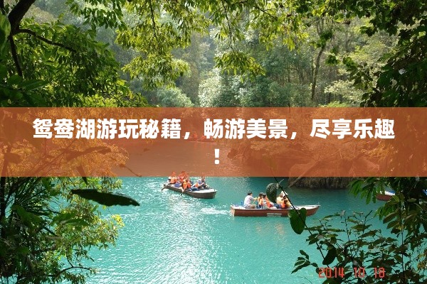 鴛鴦湖游玩秘籍，暢游美景，盡享樂趣！