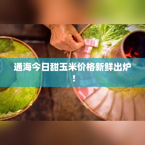 通海今日甜玉米價(jià)格新鮮出爐！