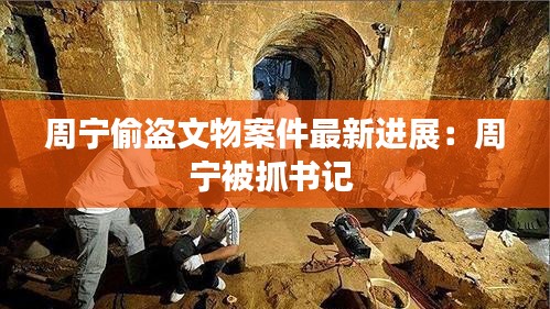 周寧偷盜文物案件最新進(jìn)展：周寧被抓書記 