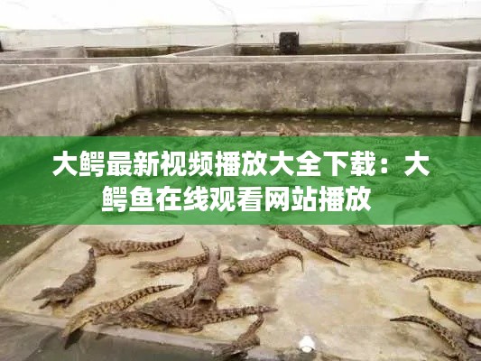 料事如神 第3頁