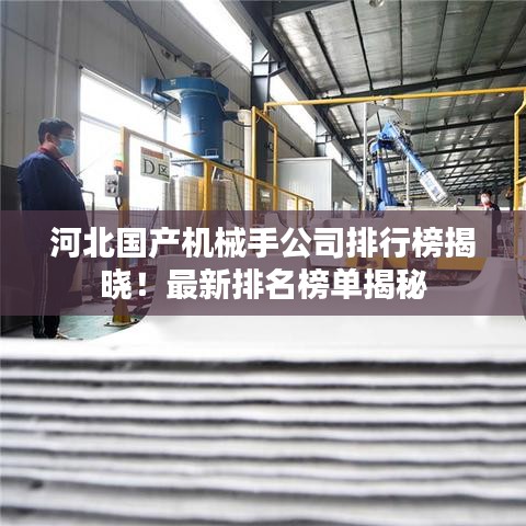 河北國(guó)產(chǎn)機(jī)械手公司排行榜揭曉！最新排名榜單揭秘