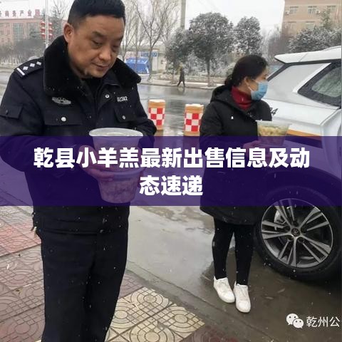 乾縣小羊羔最新出售信息及動(dòng)態(tài)速遞