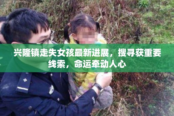 興隆鎮(zhèn)走失女孩最新進展，搜尋獲重要線索，命運牽動人心