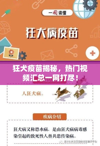 狂犬疫苗揭秘，熱門視頻匯總一網(wǎng)打盡！