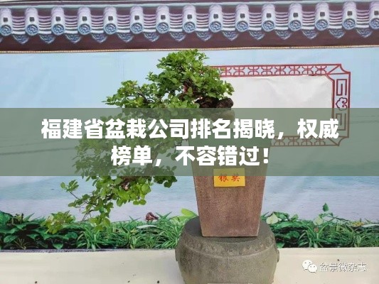 福建省盆栽公司排名揭曉，權(quán)威榜單，不容錯過！