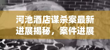 河池酒店謀殺案最新進展揭秘，案件進展令人震驚，真相逐漸浮出水面