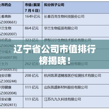 遼寧省公司市值排行榜揭曉！