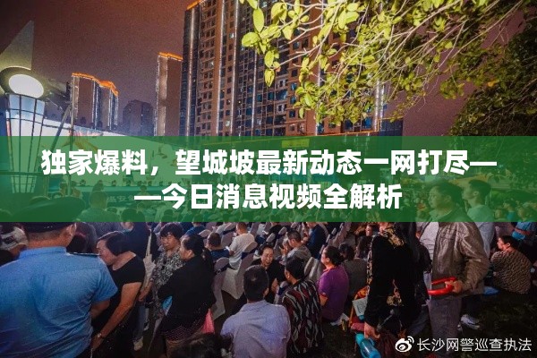 獨家爆料，望城坡最新動態(tài)一網打盡——今日消息視頻全解析