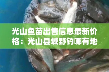 光山魚苗出售信息最新價格：光山縣城野釣哪有地方 
