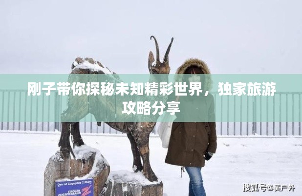 剛子帶你探秘未知精彩世界，獨(dú)家旅游攻略分享