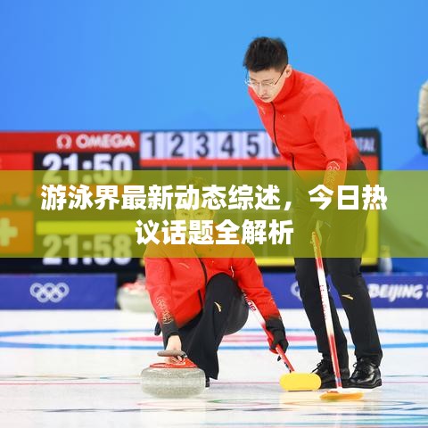 游泳界最新動(dòng)態(tài)綜述，今日熱議話題全解析