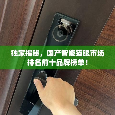 獨家揭秘，國產(chǎn)智能貓眼市場排名前十品牌榜單！