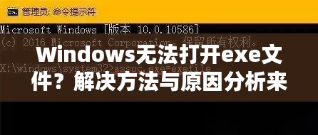 Windows無法打開exe文件？解決方法與原因分析來幫你解決！