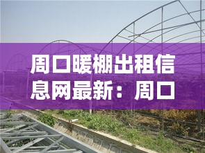 周口暖棚出租信息網(wǎng)最新：周口大棚補(bǔ)償標(biāo)準(zhǔn) 