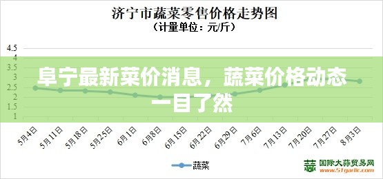 阜寧最新菜價消息，蔬菜價格動態(tài)一目了然