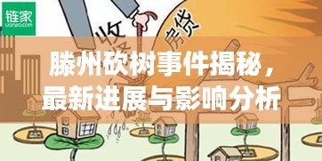 鳳凰于飛 第4頁
