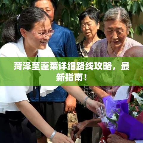菏澤至蓬萊詳細(xì)路線攻略，最新指南！