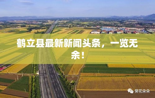 鶴立縣最新新聞頭條，一覽無余！