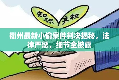衢州最新小偷案件判決揭秘，法律嚴(yán)懲，細(xì)節(jié)全披露