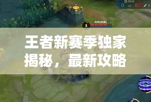 王者新賽季獨家揭秘，最新攻略與精彩軼聞一網(wǎng)打盡！