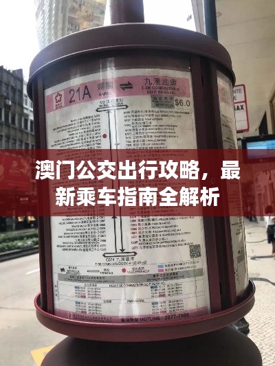 澳門公交出行攻略，最新乘車指南全解析