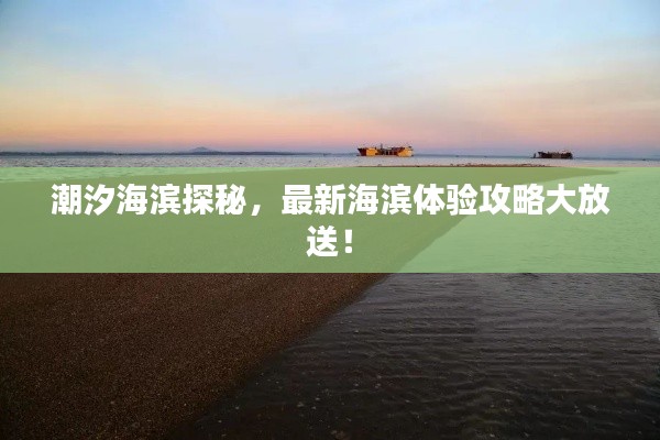潮汐海濱探秘，最新海濱體驗(yàn)攻略大放送！