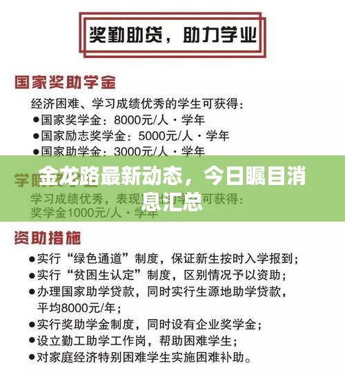 金龍路最新動(dòng)態(tài)，今日矚目消息匯總