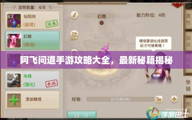 阿飛問(wèn)道手游攻略大全，最新秘籍揭秘