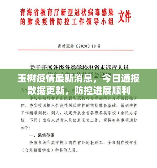 玉樹(shù)疫情最新消息，今日通報(bào)數(shù)據(jù)更新，防控進(jìn)展順利