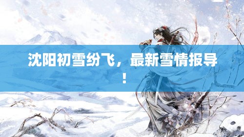 沈陽初雪紛飛，最新雪情報(bào)導(dǎo)！