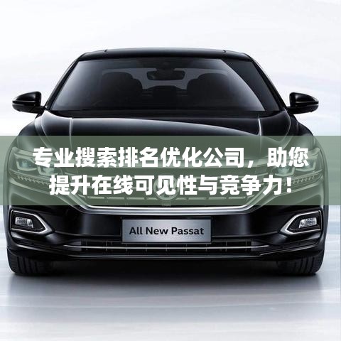 專業(yè)搜索排名優(yōu)化公司，助您提升在線可見性與競爭力！
