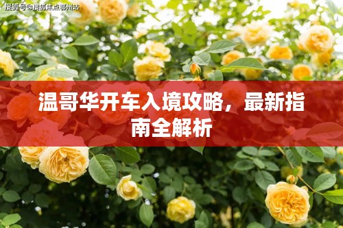 溫哥華開車入境攻略，最新指南全解析