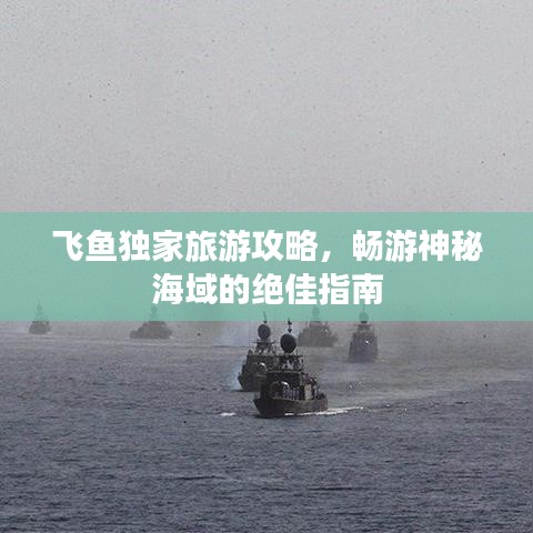 飛魚獨家旅游攻略，暢游神秘海域的絕佳指南