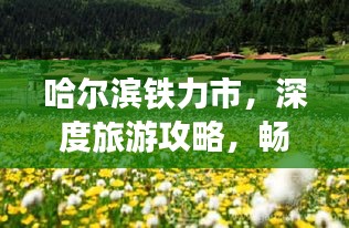 哈爾濱鐵力市，深度旅游攻略，暢游美景不容錯過！