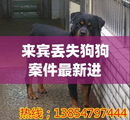 來(lái)賓丟失狗狗案件最新進(jìn)展：來(lái)賓狗養(yǎng)殖基地在哪里 