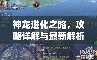 神龍進(jìn)化之路，攻略詳解與最新解析